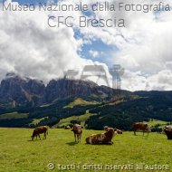 mario.prosdocimo-meriggio all'alpe